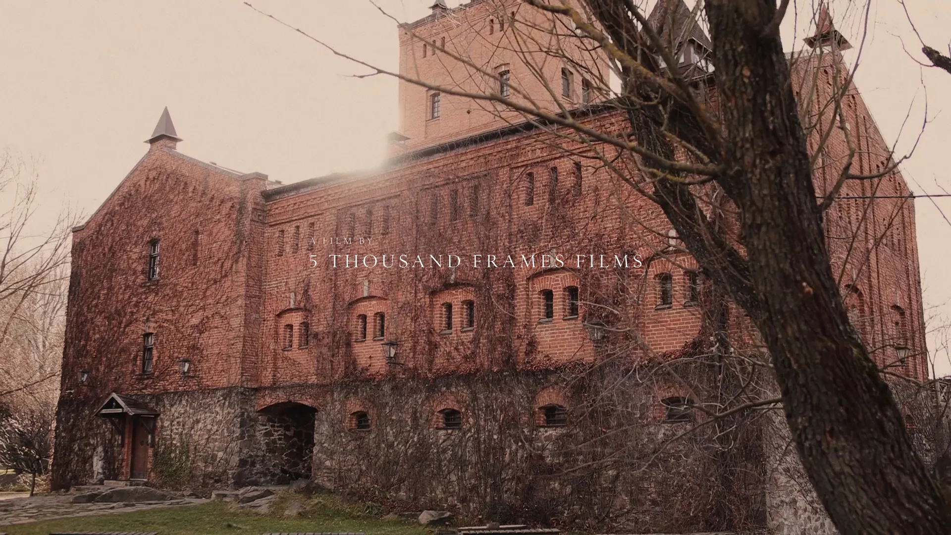Music Film 01 cover